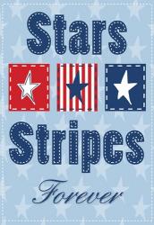 Stars and Strips Verticle | Obraz na stenu