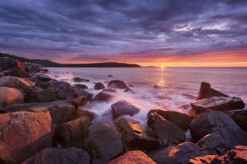 Acadia Rocks | Obraz na stenu