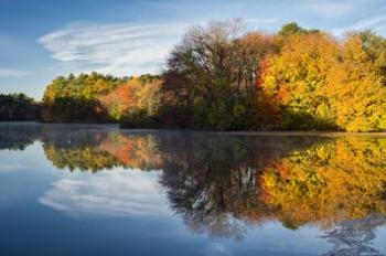 Color On Grist Mill Pond | Obraz na stenu