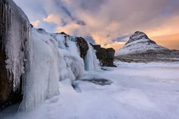 Frozen Canopy | Obraz na stenu