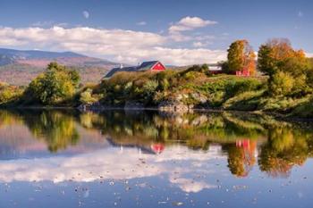 Pastoral Reflection | Obraz na stenu