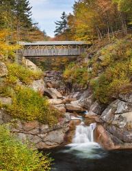 Sentinel Pine Bridge | Obraz na stenu