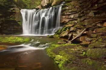 Spring At Elakala Falls | Obraz na stenu