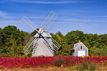 Higgins Farm Windmill | Obraz na stenu