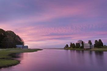 Morn at Salt Pond | Obraz na stenu