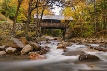 The Flume Bridge | Obraz na stenu