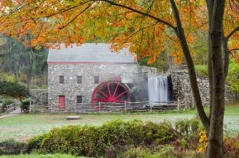 Autumn at the Grist Mill | Obraz na stenu