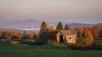 Fog in the Valley | Obraz na stenu