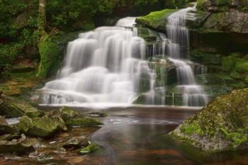 Moss on the Rocks at Elakala Falls | Obraz na stenu