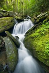 Mossy Rocks on Cascade | Obraz na stenu