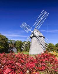 Old Higgins Farm Windmill | Obraz na stenu