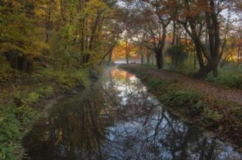 Take me to the Pond | Obraz na stenu