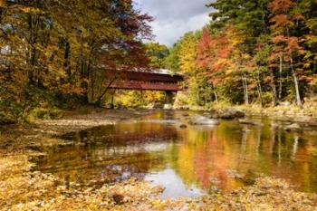 Along the Swift River | Obraz na stenu