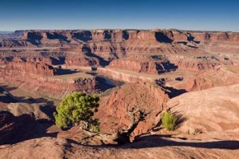 Canyonlands Sunrise | Obraz na stenu