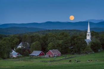 Cow Under the Moon | Obraz na stenu