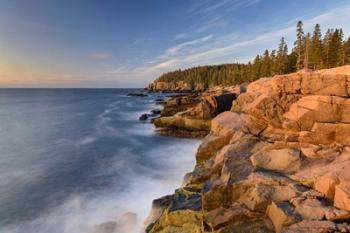 Acadia Sunrise | Obraz na stenu