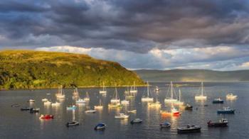 Portree Harbor | Obraz na stenu