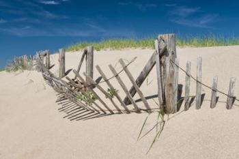 Worn Beach Fence | Obraz na stenu