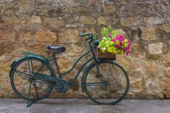 Green Bicycle | Obraz na stenu