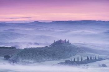 Mist over Belvedere | Obraz na stenu