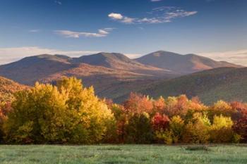 Autumn Splendor | Obraz na stenu