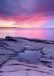 Frozen Puddle On Granite - Vertical | Obraz na stenu