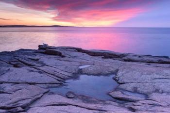 Frozen Puddle On Granite | Obraz na stenu