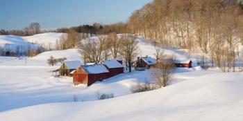 Jenne Farm Winter - Panorama | Obraz na stenu