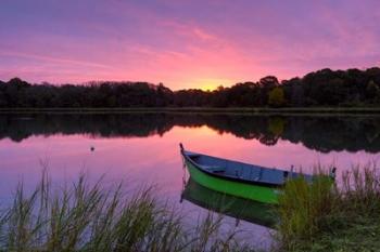 Radiant Pond | Obraz na stenu