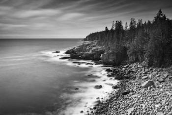 Acadia Coastline BW | Obraz na stenu