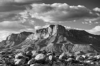 Guadalupe - Monochrome | Obraz na stenu