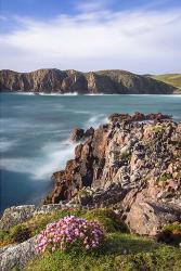 Boulders and Wildflowers | Obraz na stenu