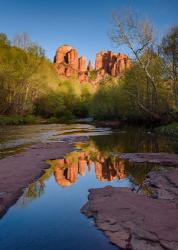 Cathedral Rock Reflection Vertical | Obraz na stenu