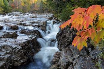 Rocky Gorge Autumn | Obraz na stenu