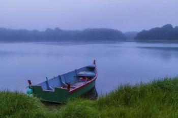 Morning Fog | Obraz na stenu