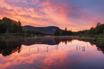 Rose Colored Pond | Obraz na stenu