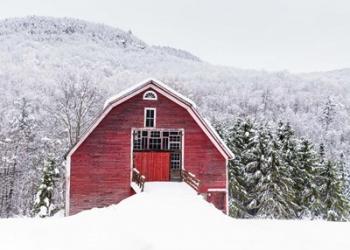 Red Barn White Hill | Obraz na stenu