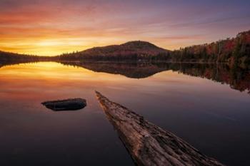 Autumn at the Pond | Obraz na stenu