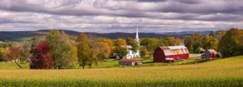 Autumn Corn - Panorama | Obraz na stenu