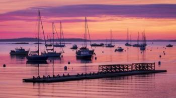 Floating Dock | Obraz na stenu