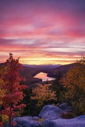 Pond Overlook | Obraz na stenu