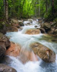 Cascade on Dry Brook | Obraz na stenu