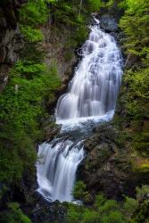 Spring at Crystal Cascades | Obraz na stenu