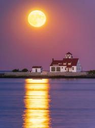 Wood Island Moonrise - Vertical | Obraz na stenu