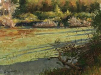 Pond Shadows | Obraz na stenu