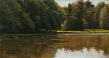 Summer Light - White Pine Rd Pond | Obraz na stenu
