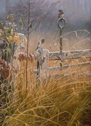 Autumn Mist | Obraz na stenu