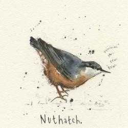 Nuthatch | Obraz na stenu