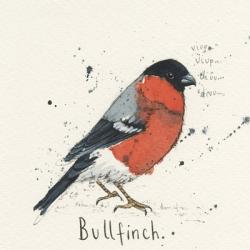 Bull Finch | Obraz na stenu