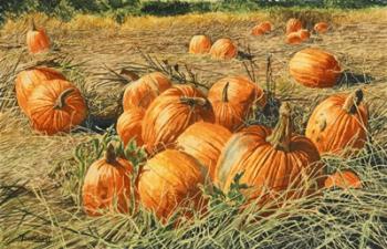 Pumpkin Harvest | Obraz na stenu